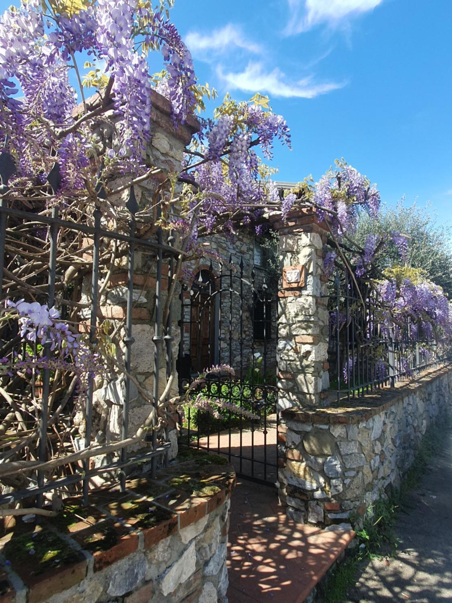 Pietra E Glicine B&B Pieve a Nievole Exterior photo