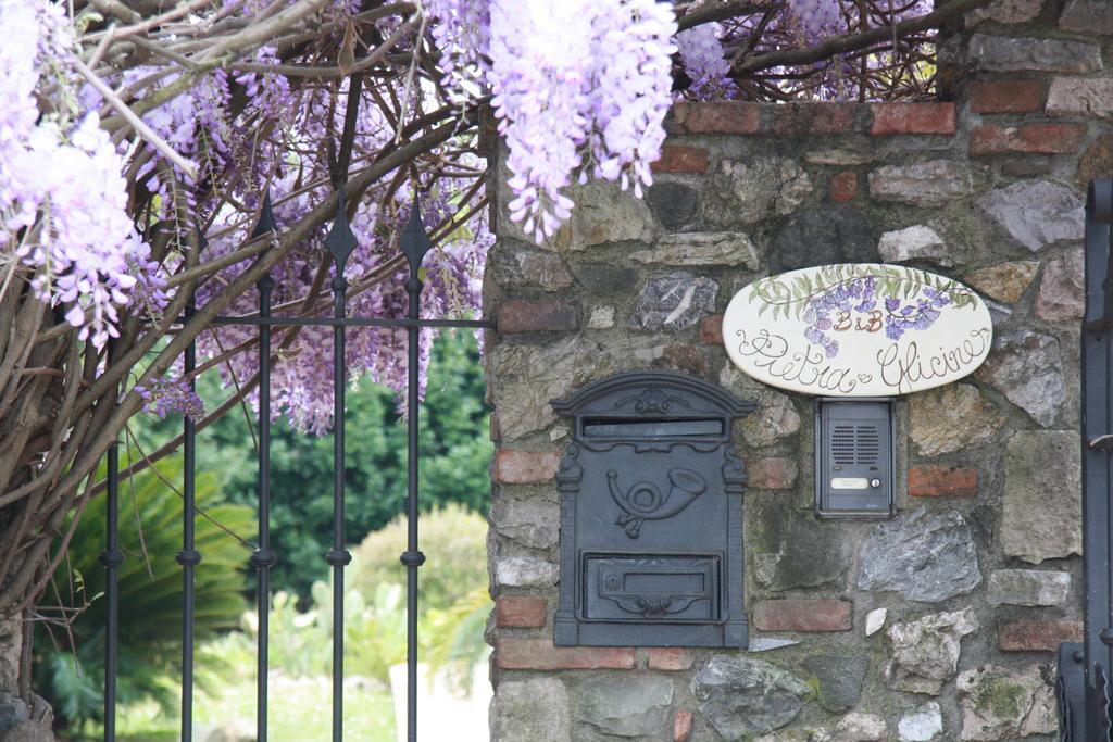 Pietra E Glicine B&B Pieve a Nievole Exterior photo